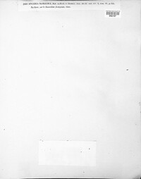 Image of Didymocyrtis ramalinae